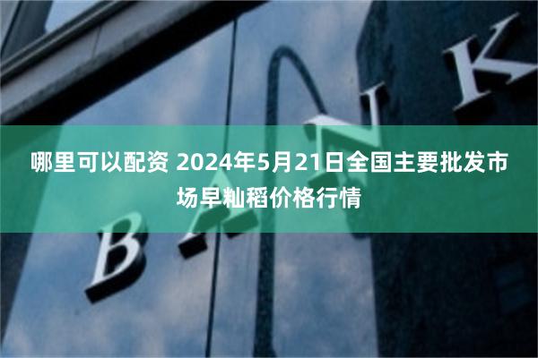 哪里可以配资 2024年5月21日全国主要批发市场早籼稻价格行情