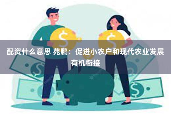 配资什么意思 苑鹏：促进小农户和现代农业发展有机衔接