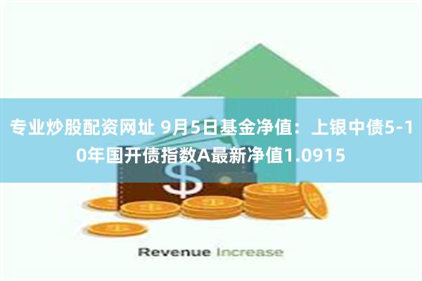 专业炒股配资网址 9月5日基金净值：上银中债5-10年国开债指数A最新净值1.0915