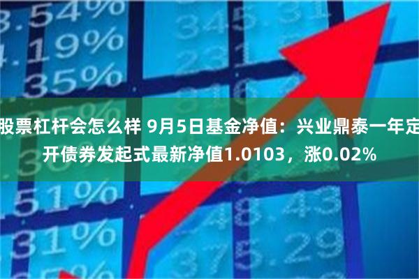 股票杠杆会怎么样 9月5日基金净值：兴业鼎泰一年定开债券发起式最新净值1.0103，涨0.02%