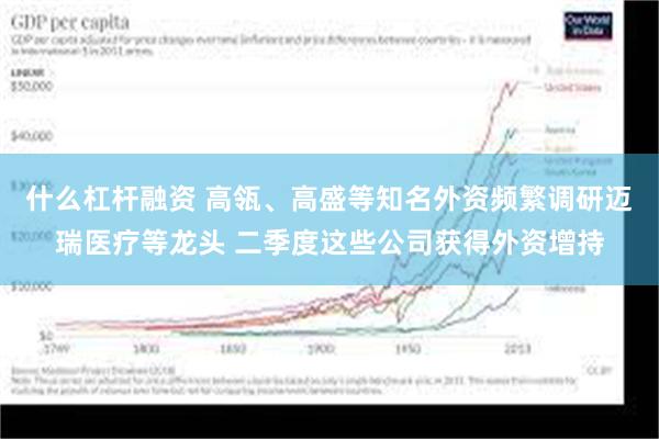 什么杠杆融资 高瓴、高盛等知名外资频繁调研迈瑞医疗等龙头 二季度这些公司获得外资增持