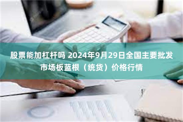 股票能加杠杆吗 2024年9月29日全国主要批发市场板蓝根（统货）价格行情