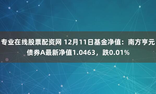 专业在线股票配资网 12月11日基金净值：南方亨元债券A最新净值1.0463，跌0.01%