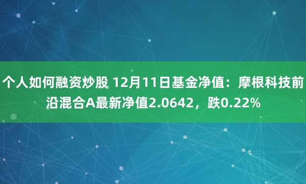 个人如何融资炒股 12月11日基金净值：摩根科技前沿混合A最新净值2.0642，跌0.22%