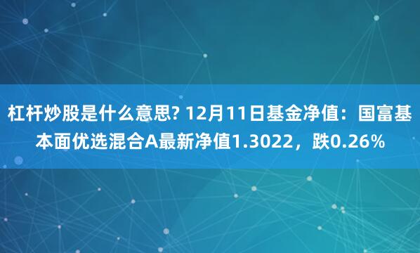 杠杆炒股是什么意思? 12月11日基金净值：国富基本面优选混合A最新净值1.3022，跌0.26%