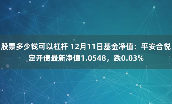 股票多少钱可以杠杆 12月11日基金净值：平安合悦定开债最新净值1.0548，跌0.03%