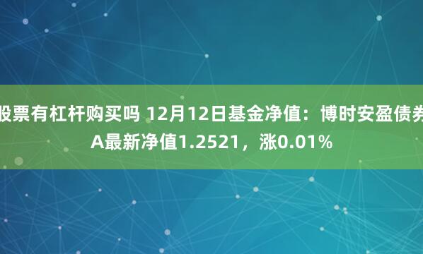 股票有杠杆购买吗 12月12日基金净值：博时安盈债券A最新净值1.2521，涨0.01%