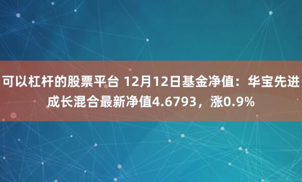 可以杠杆的股票平台 12月12日基金净值：华宝先进成长混合最新净值4.6793，涨0.9%