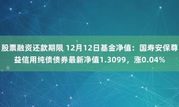 股票融资还款期限 12月12日基金净值：国寿安保尊益信用纯债债券最新净值1.3099，涨0.04%