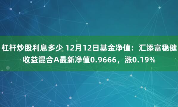 杠杆炒股利息多少 12月12日基金净值：汇添富稳健收益混合A最新净值0.9666，涨0.19%