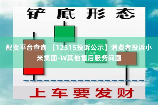 配资平台查询 【12315投诉公示】消费者投诉小米集团-W其他售后服务问题